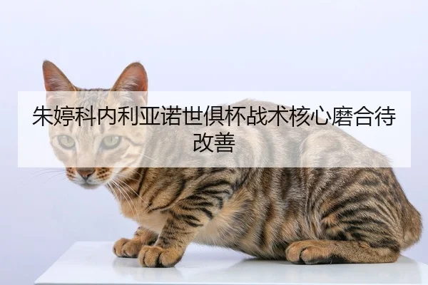 zhu-ting-ke-nei-li-ya-nuo-shi-ju-bei-zhan-shu-he-xin-mo-he-dai-gai-shan-2-844.jpg