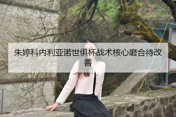 zhu-ting-ke-nei-li-ya-nuo-shi-ju-bei-zhan-shu-he-xin-mo-he-dai-gai-shan-3-989.jpg