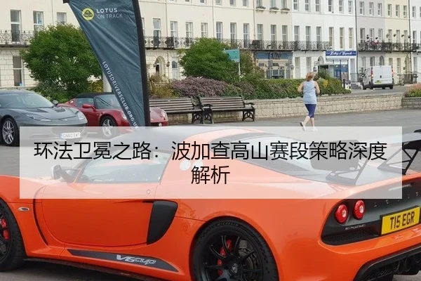 环法卫冕之路：波加查高山赛段策略深度解析
