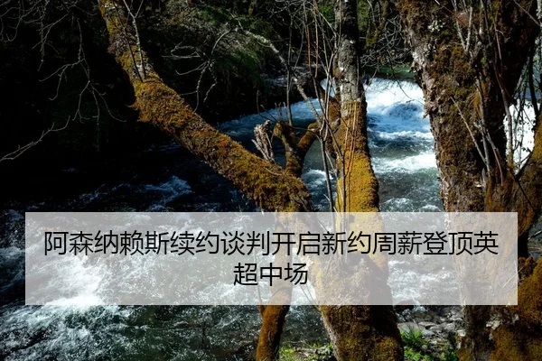 阿森纳赖斯续约谈判开启新约周薪登顶英超中场