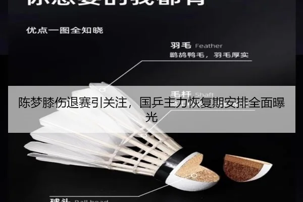 陈梦膝伤退赛引关注，国乒主力恢复期安排全面曝光